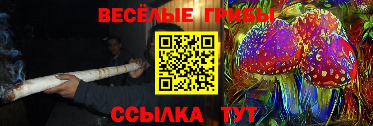Псилоцибиновые грибы GOLDEN TEACHER  Вход с VPN  Шахты 